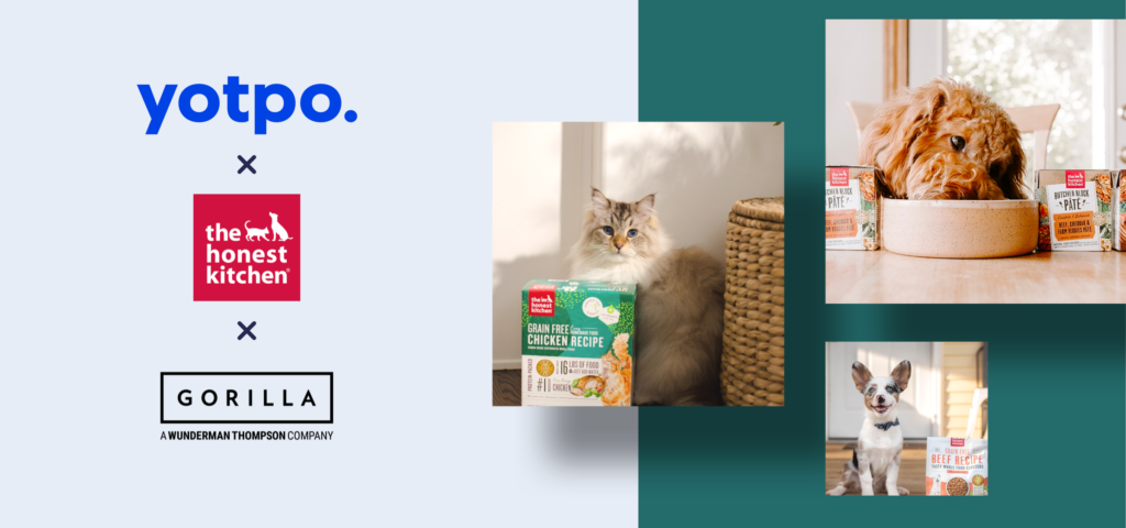 Blog@2x 1 1 The Honest Kitchen | Case Study 24