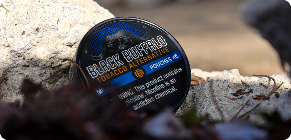 Header image 1 Black Buffalo Case Study 26